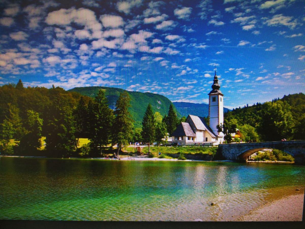Apartamento Planika B&M Bohinj Exterior foto