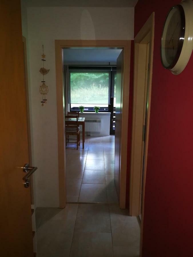 Apartamento Planika B&M Bohinj Exterior foto