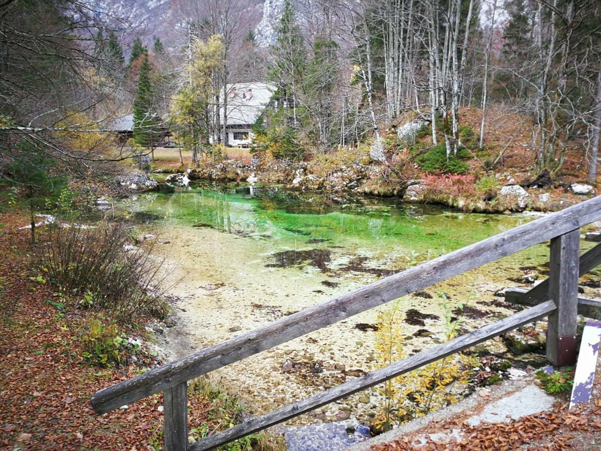 Apartamento Planika B&M Bohinj Exterior foto