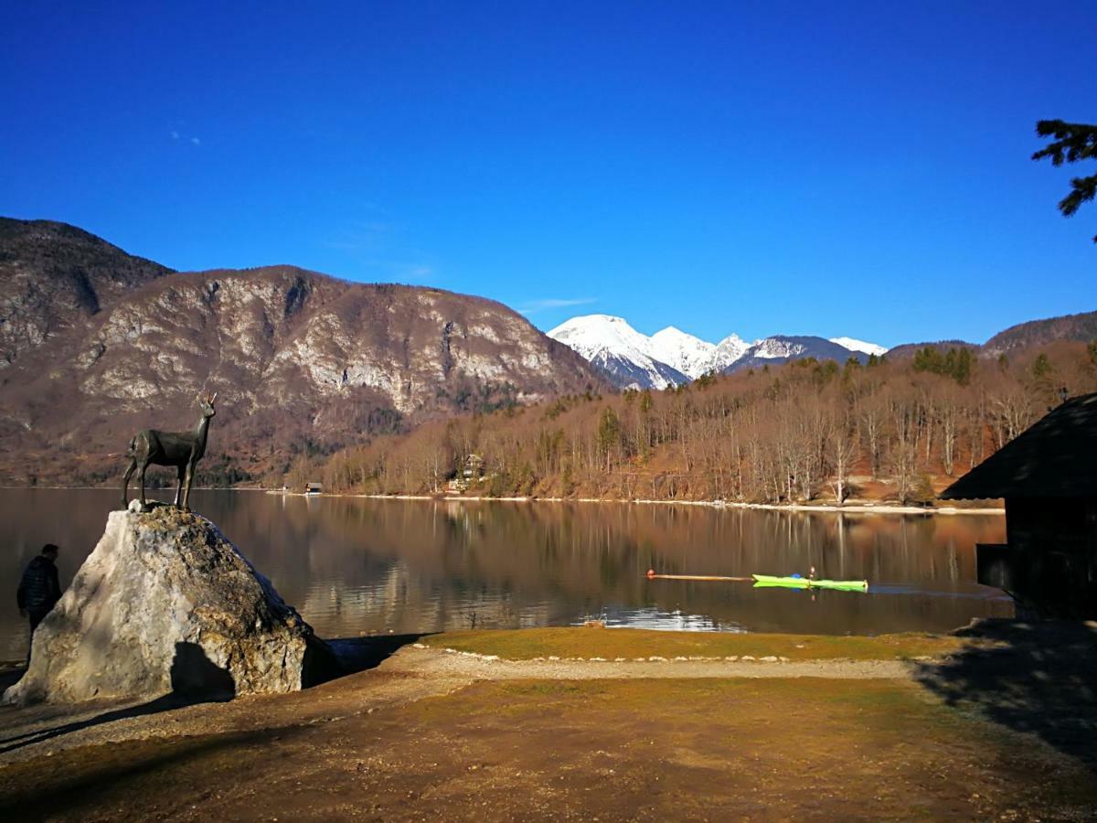 Apartamento Planika B&M Bohinj Exterior foto